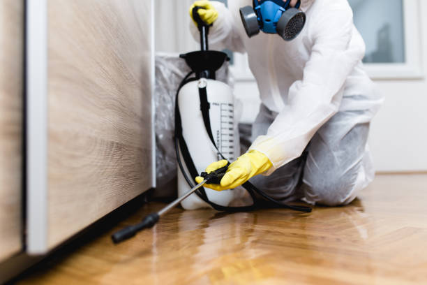 Reliable Pepper Pike, OH Pest Control Solutions