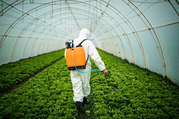 Best Best Pest Control Companies  in Pepper Pike, OH