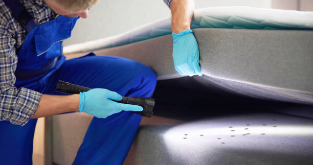 Best Cockroach Control Services  in Pepper Pike, OH